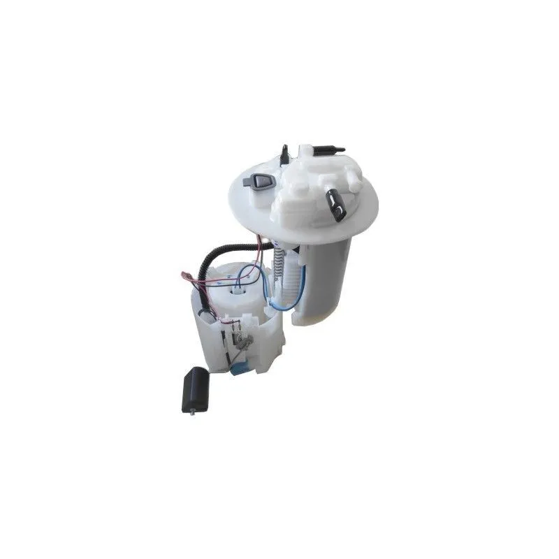 Unité d'injection de carburant HOFFER 7507617