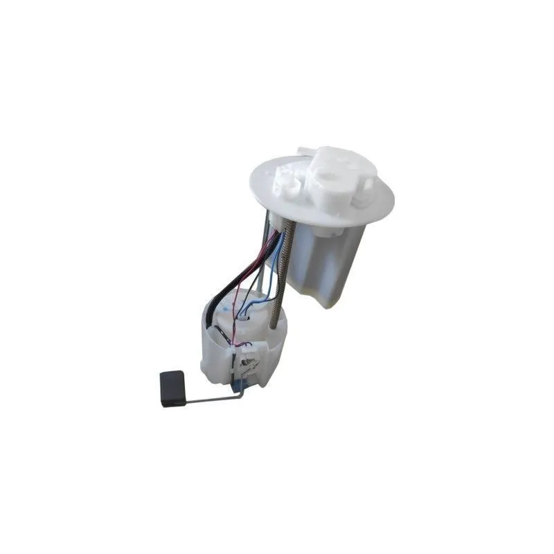 Unité d'injection de carburant HOFFER 7507619