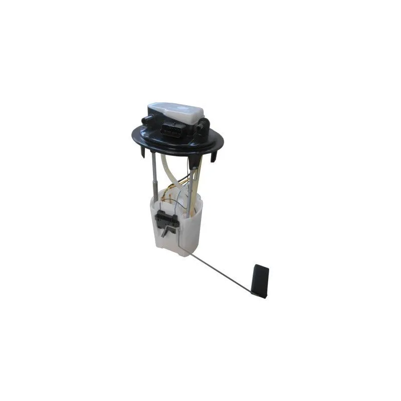 Unité d'injection de carburant HOFFER 7507626