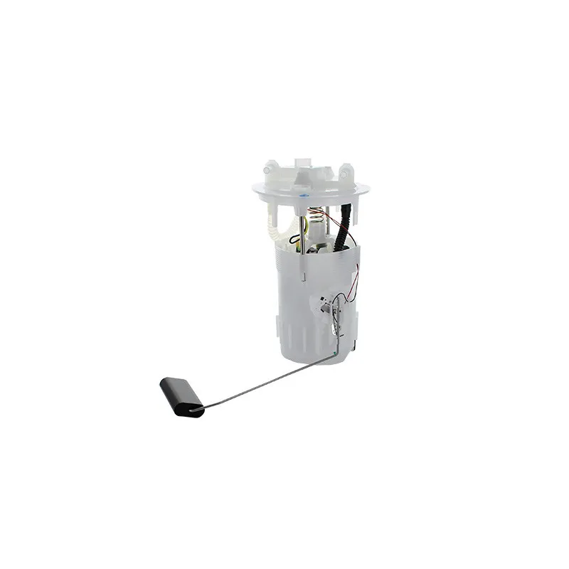 Unité d'injection de carburant HOFFER 7507655