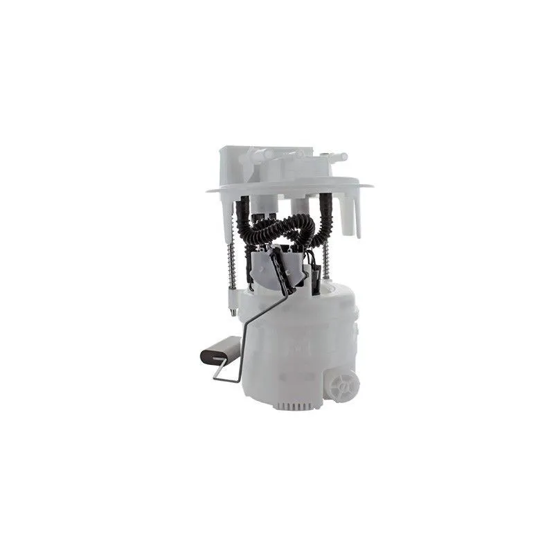 Unité d'injection de carburant HOFFER 7507689