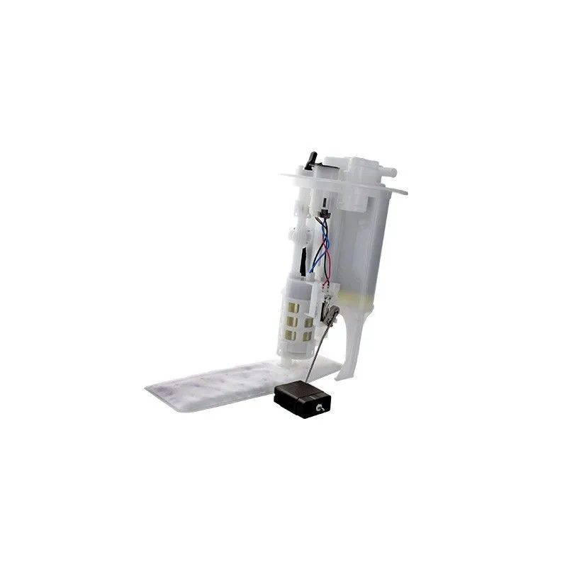 Unité d'injection de carburant HOFFER 7507692