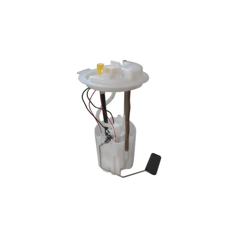 Unité d'injection de carburant HOFFER 7507695