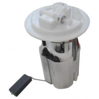 Unité d'injection de carburant HOFFER