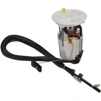 Unité d'injection de carburant HOFFER 7507724