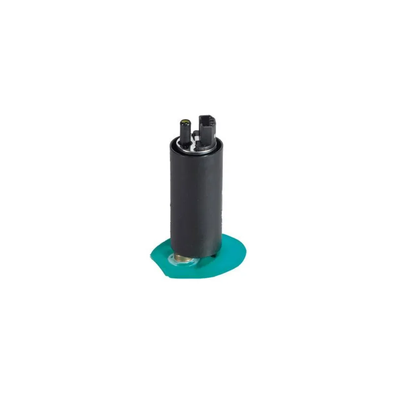 Pompe à carburant HOFFER 7507725