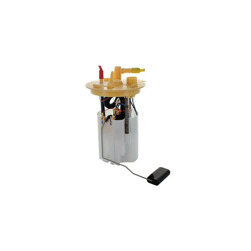 Unité d'injection de carburant HOFFER 7507734