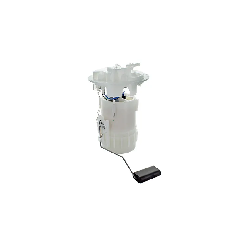 Unité d'injection de carburant HOFFER 7507740