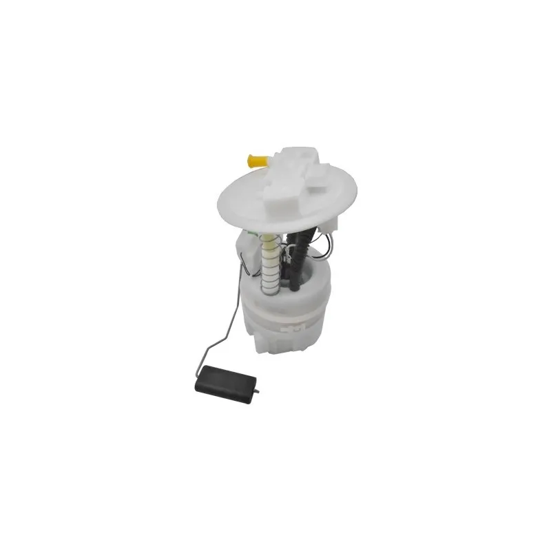 Unité d'injection de carburant HOFFER 7507753