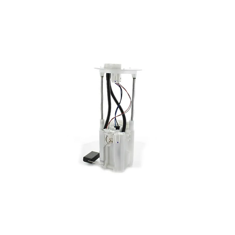 Unité d'injection de carburant HOFFER 7507786E