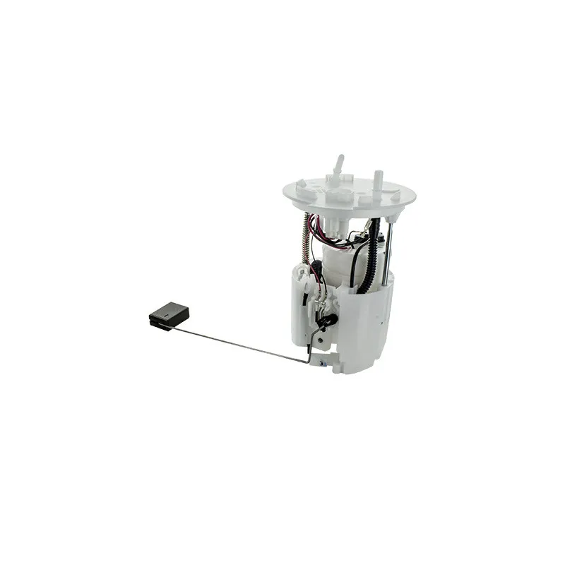 Unité d'injection de carburant HOFFER 7507830