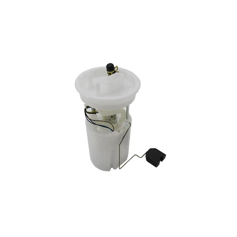 Unité d'injection de carburant HOFFER 7507857