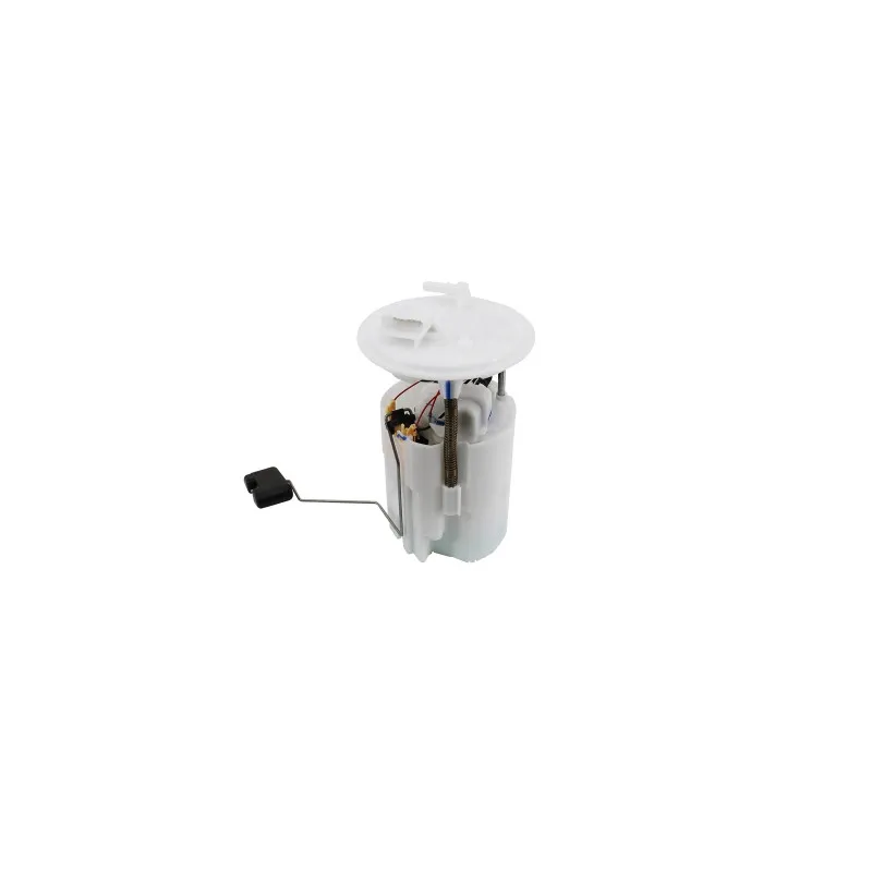 Unité d'injection de carburant HOFFER 7507946