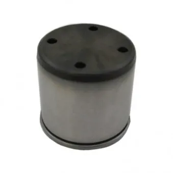 Pilon, Pompe à haute pression HOFFER