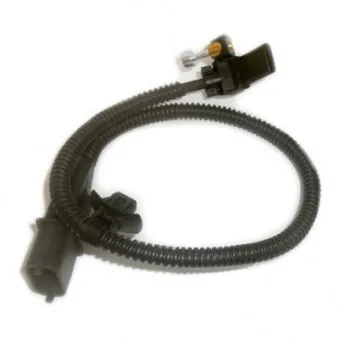 Capteur d'angle, vilebrequin HOFFER 75171008