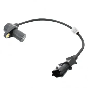 Capteur d'angle, vilebrequin HOFFER