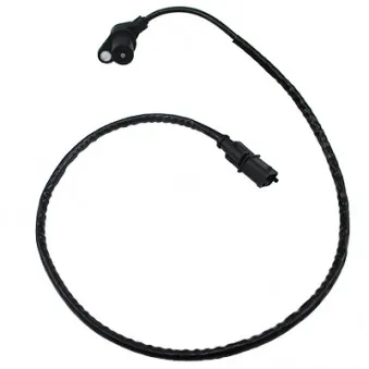 Capteur d'angle, vilebrequin HOFFER 7517335