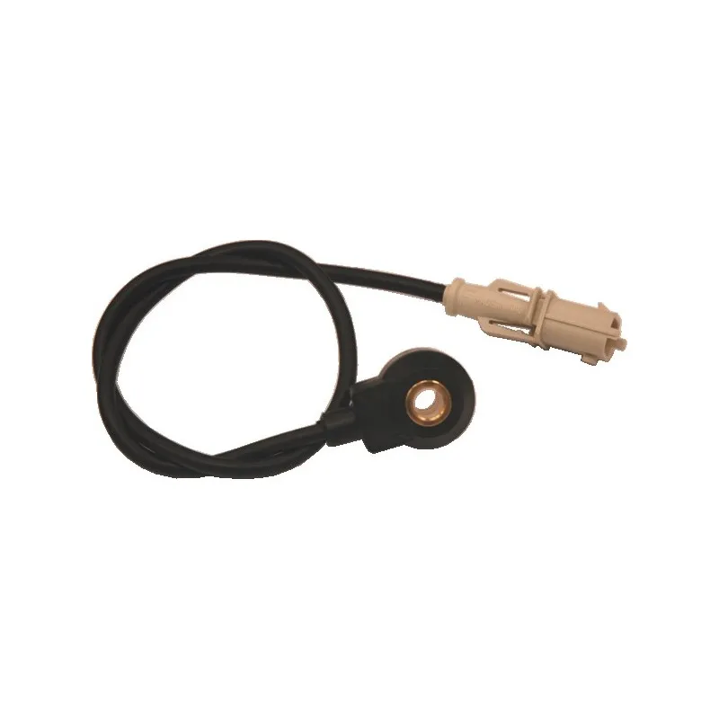 Capteur de cognement HOFFER 7517433