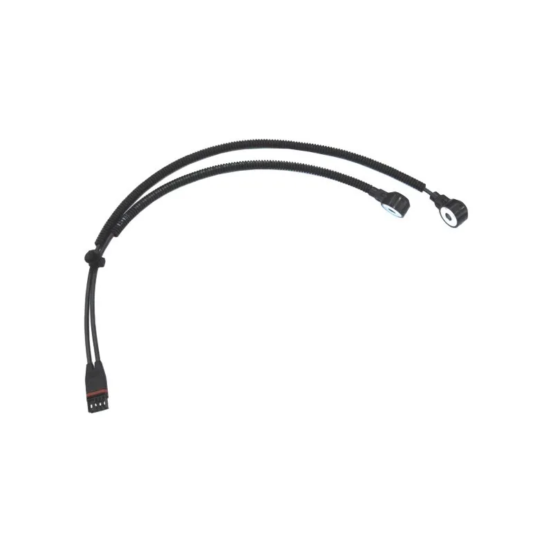 Capteur de cognement HOFFER 7517499