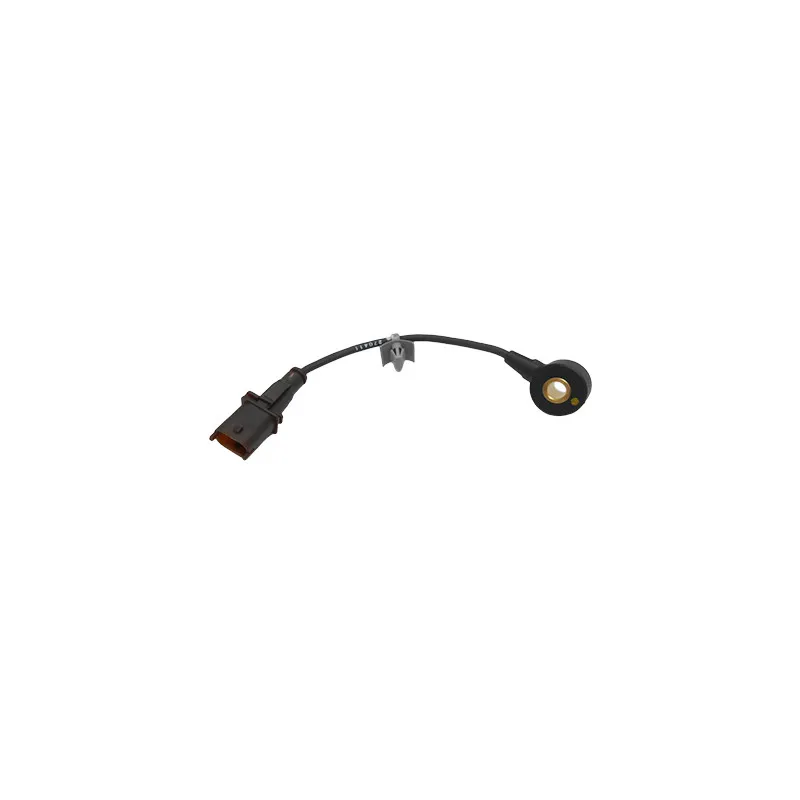 Capteur de cognement HOFFER 75175002