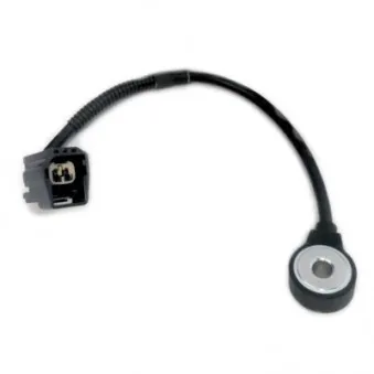 Capteur de cognement HOFFER 75175005