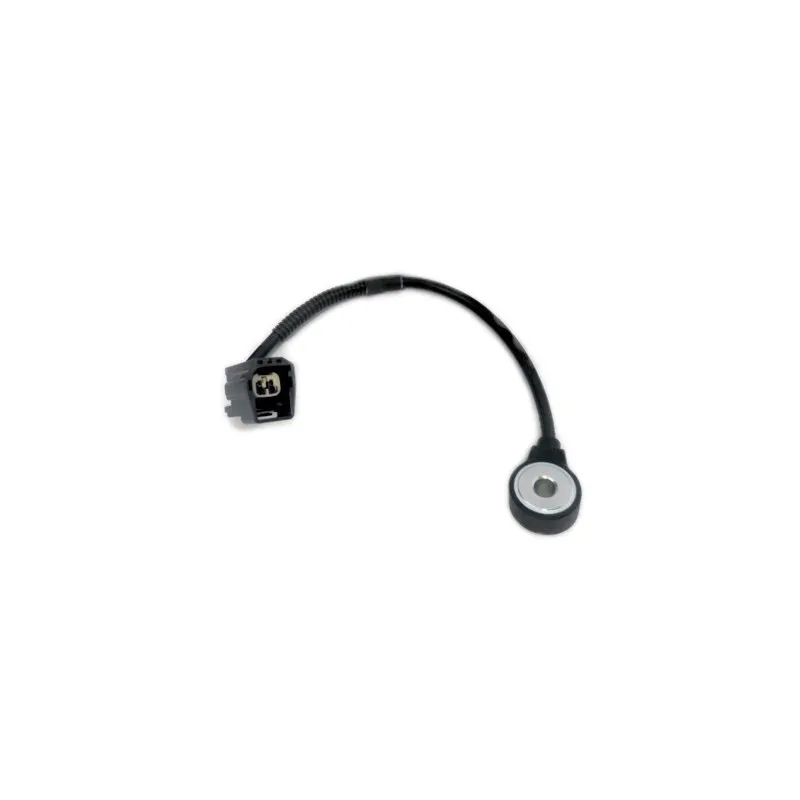 Capteur de cognement HOFFER 75175005