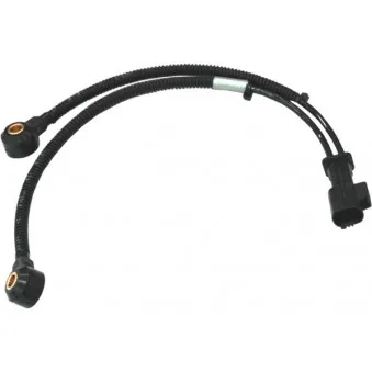 Capteur de cognement HOFFER 7517504