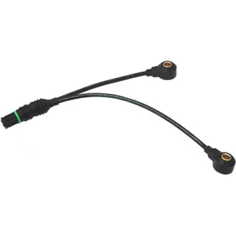 Capteur de cognement HOFFER 7517529