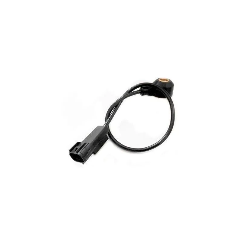 Capteur de cognement HOFFER 7517666