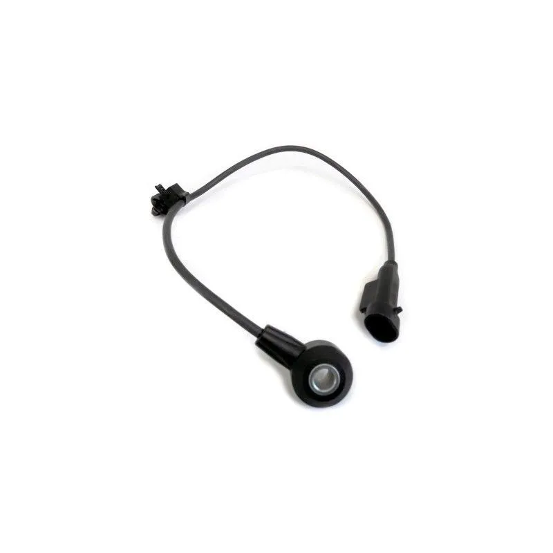 Capteur de cognement HOFFER 7517769