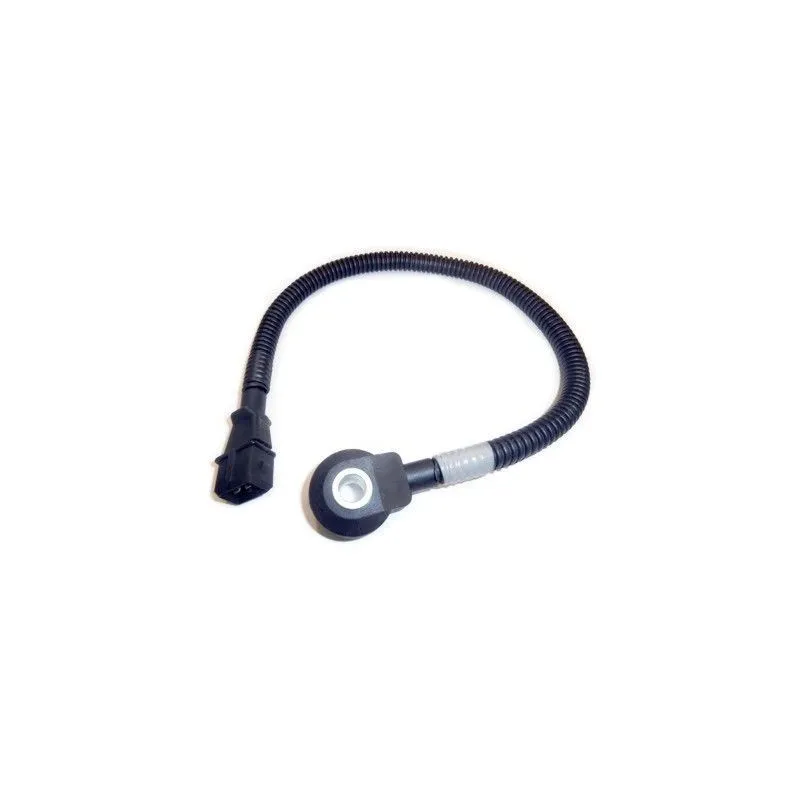 Capteur de cognement HOFFER 7517780