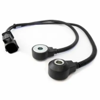 Capteur de cognement HOFFER