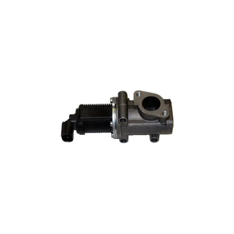 Vanne EGR HOFFER 7518007R