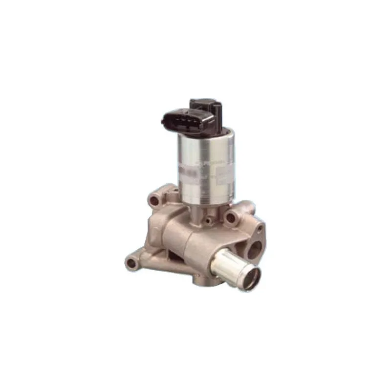 Vanne EGR HOFFER 7518035