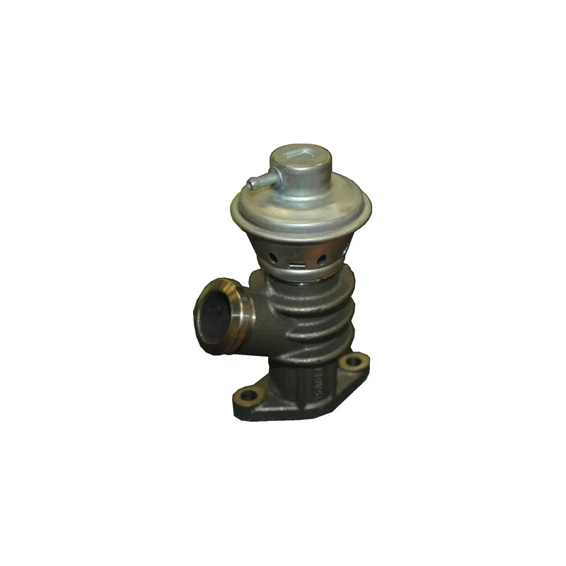Vanne EGR HOFFER 7518078