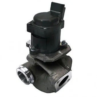 Vanne EGR HOFFER 7518086