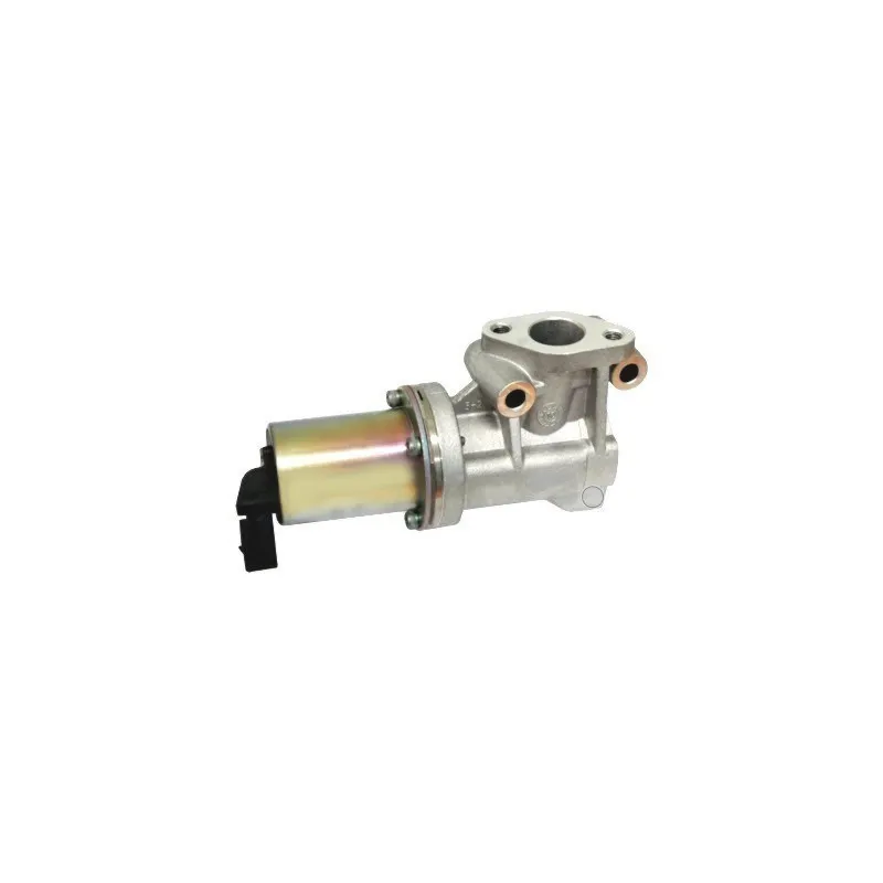 Vanne EGR HOFFER 7518125