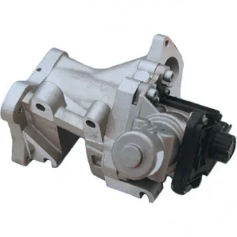 Vanne EGR HOFFER 7518142