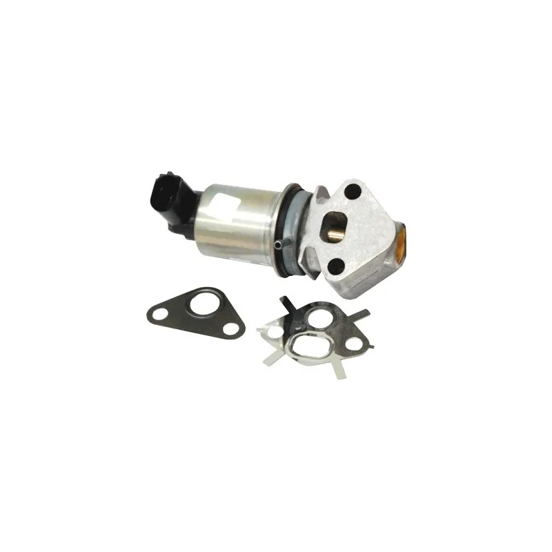 Vanne EGR HOFFER 7518176