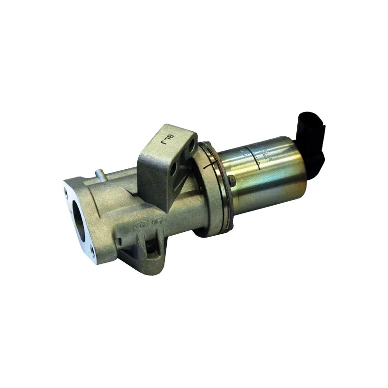 Vanne EGR HOFFER 7518179