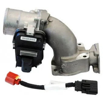 Corps papillon HOFFER