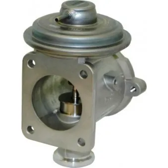 Vanne EGR HOFFER 7518196