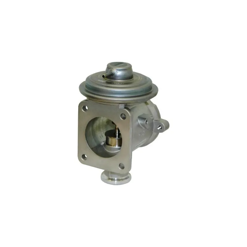 Vanne EGR HOFFER 7518196
