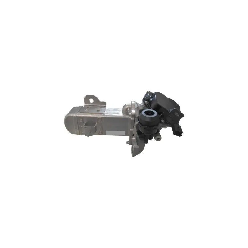 Vanne EGR HOFFER 7518198