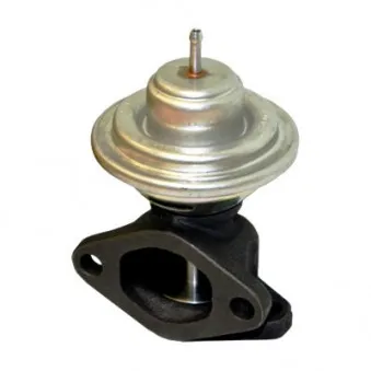 Vanne EGR HOFFER 7518205