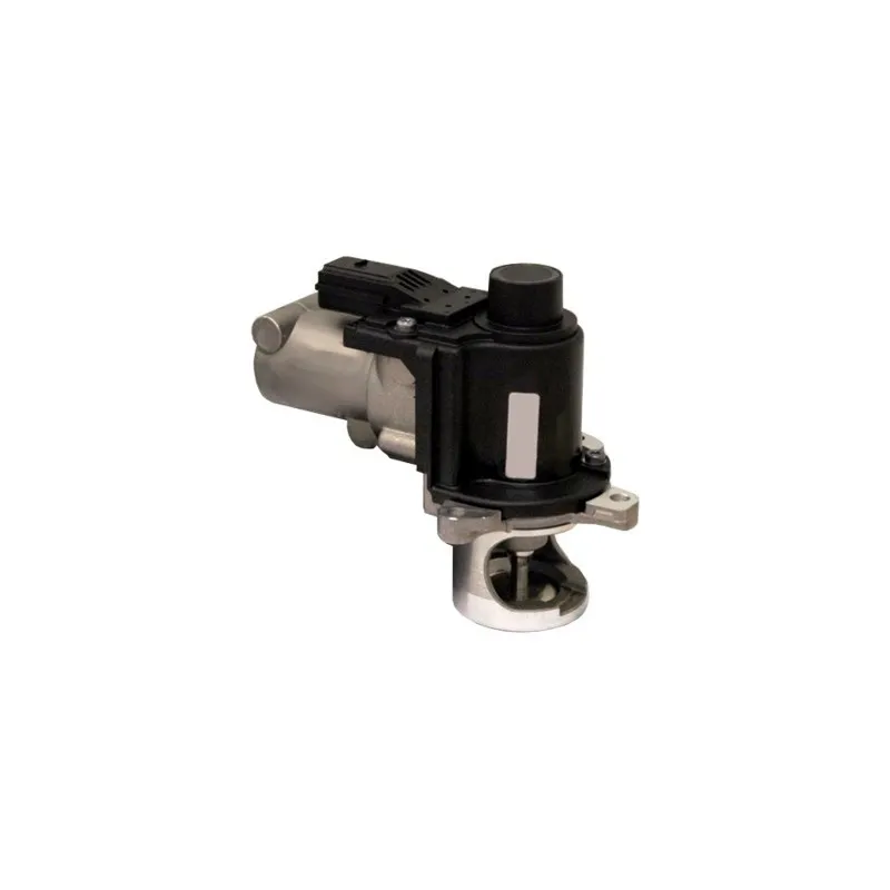 Vanne EGR HOFFER 7518214