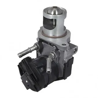 Vanne EGR HOFFER 7518254E