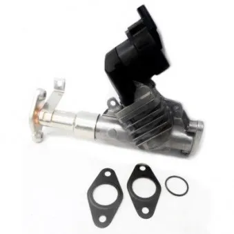 Vanne EGR HOFFER 7518274