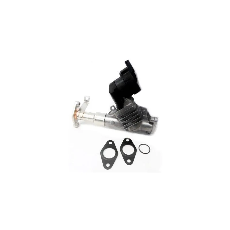 Vanne EGR HOFFER 7518274
