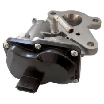Vanne EGR HOFFER 7518340